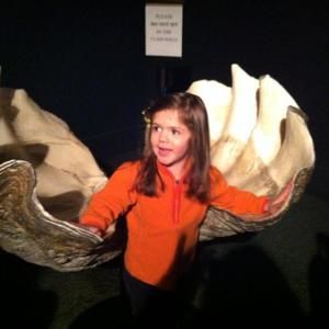 Meet your Posher, Ellen